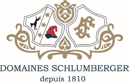 DOMAINES SCHLUMBERGER
