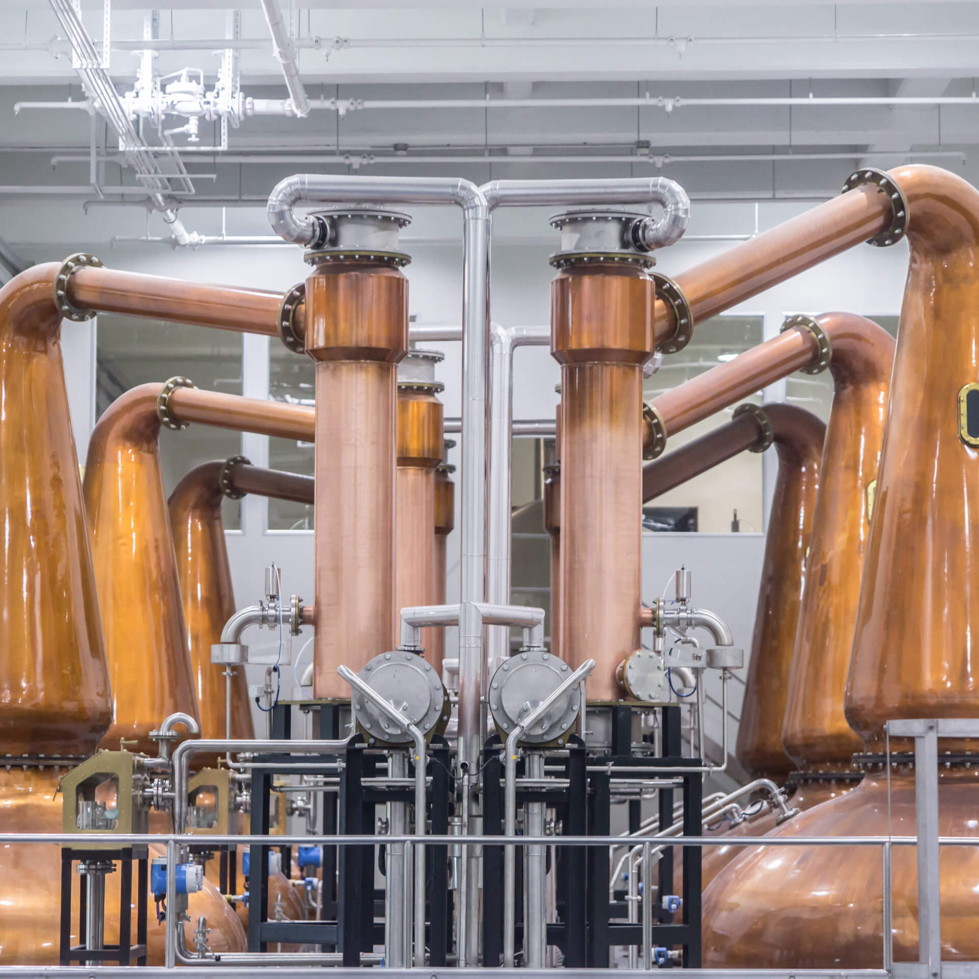 Kavalan_potstill1