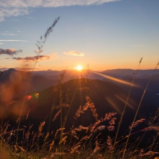 timotheus-wolf-8-l4z3xvuas-unsplash-800x533