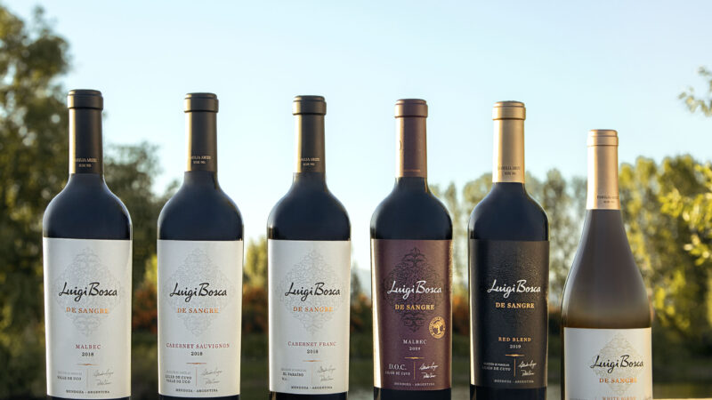 LB_2437_alta-1-800x450